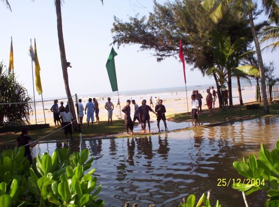 fernando bengoechea tsunami pic