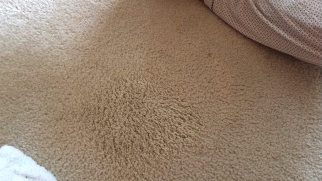 how to remove slime from carpet